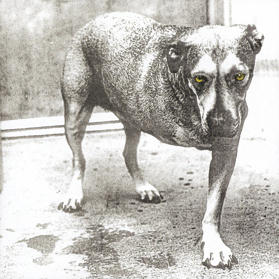 Alice In Chains - Alice In Chains (Vinyl LP)