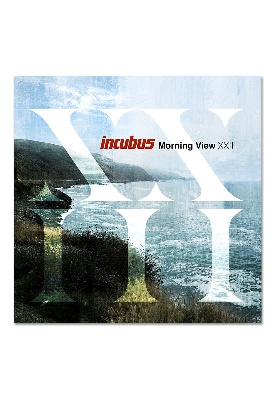 Incubus - Morning View XXIII (Vinyl LP)