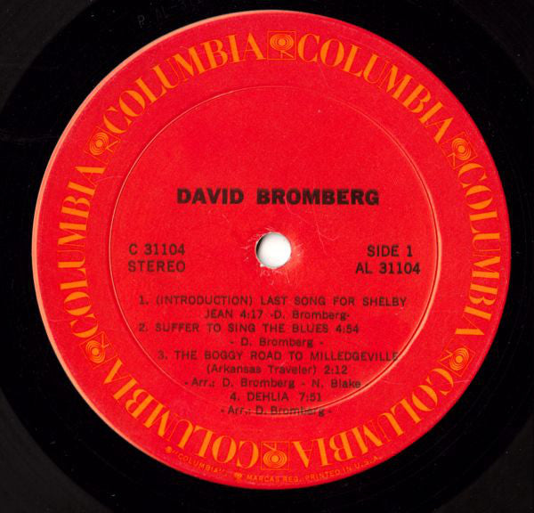 Bromberg, David - David Bromberg (Vinyl, VG+) (Vinyl LP)