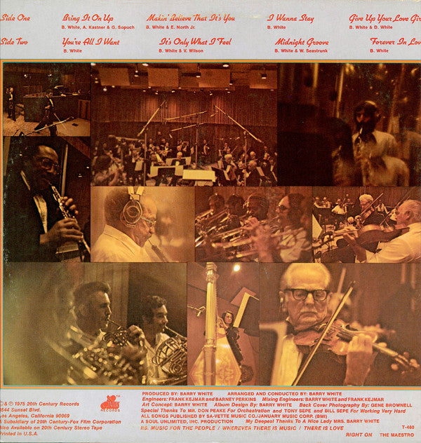 Love Unlimited Orchestra - Music Maestro Please (Vinyl, VG) (Vinyl LP)