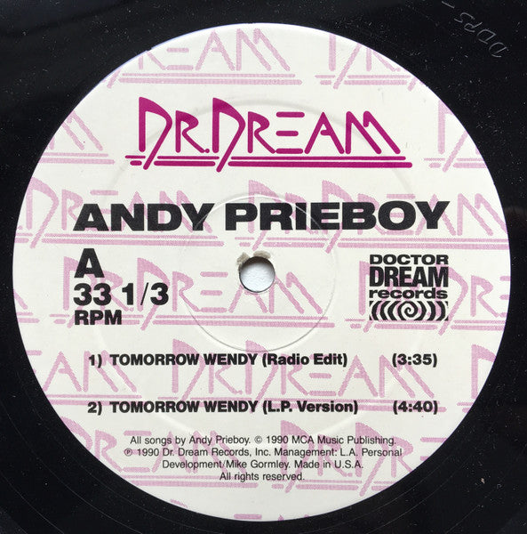 Prieboy, Andy - Tomorrow Wendy (VG+) (Vinyl LP)