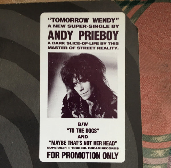 Prieboy, Andy - Tomorrow Wendy (VG+) (Vinyl LP)