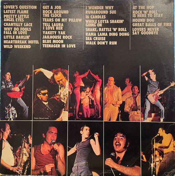 Sha Na Na - The Golden Age Of Rock 'N' Roll (Vinyl, VG+) (Vinyl LP)