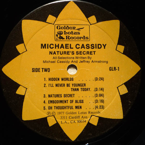 Cassidy, Michael - Nature's Secret (VG+) (Vinyl LP)