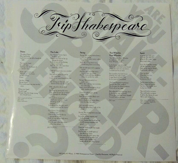 Trip Shakespeare - Are You Shakespearienced? (VG+) (Vinyl LP)