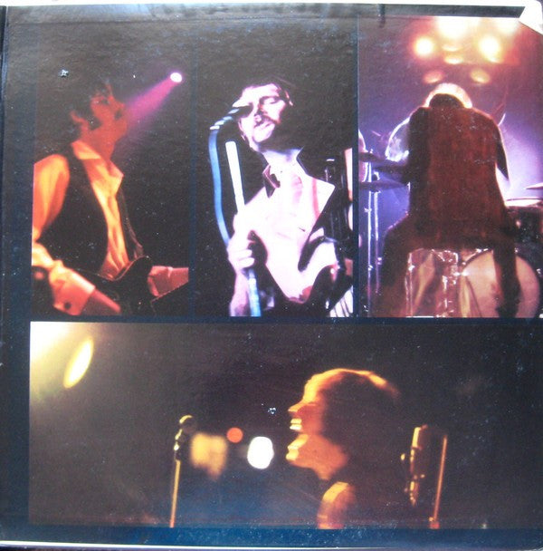 Grass Roots - Lovin' Things (VG+) (Vinyl LP)