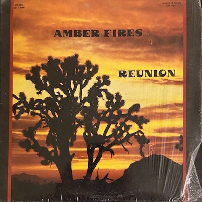 Amber Fires - Reunion (VG) (Vinyl LP)