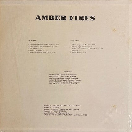 Amber Fires - Reunion (VG) (Vinyl LP)