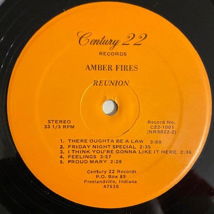 Amber Fires - Reunion (VG) (Vinyl LP)
