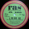Reid, Jr. / Barrington Levy - Cry Now / Looking My Love (VG) (Vinyl LP)