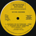 Divine Sounds - Changes / Do Or Die Bed Sty (Vinyl, VG) (Vinyl LP)