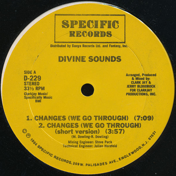 Divine Sounds - Changes / Do Or Die Bed Sty (Vinyl, VG) (Vinyl LP)