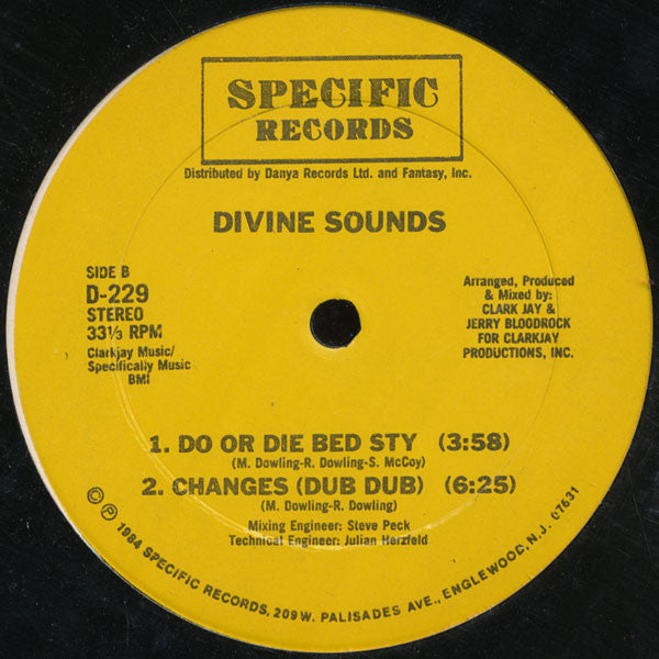 Divine Sounds - Changes / Do Or Die Bed Sty (Vinyl, VG) (Vinyl LP)