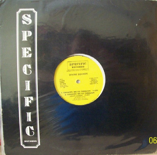 Divine Sounds - Changes / Do Or Die Bed Sty (Vinyl, VG) (Vinyl LP)