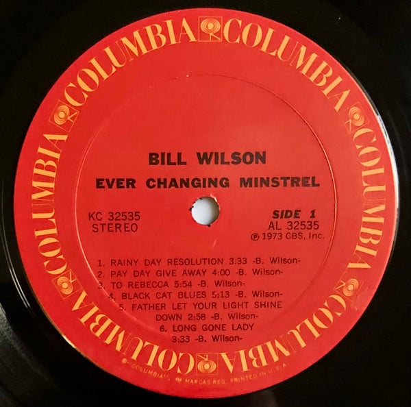 Wilson, Bill - Ever Changing Minstrel (Vinyl, VG) (Vinyl LP)
