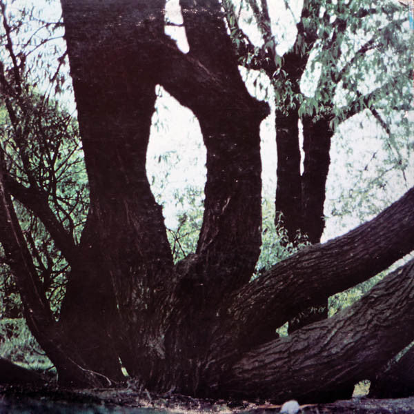 Fat Mattress - Fat Mattress (VG+) (Vinyl LP)