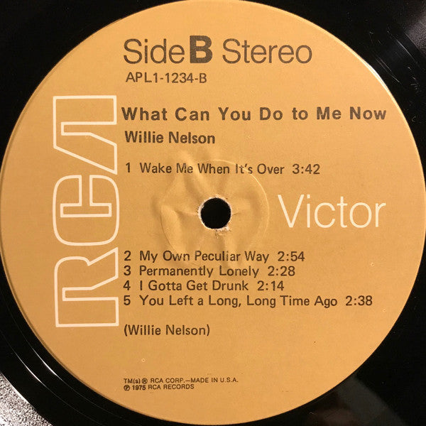 Nelson, Willie - What Can You Do To Me Now (Vinyl, VG+) (Vinyl LP)