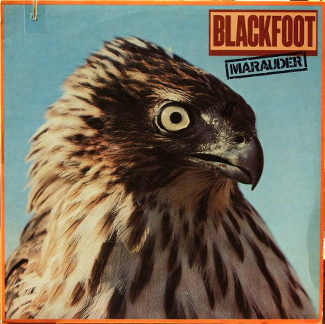 Blackfoot  - Marauder (Vinyl, VG) (Vinyl LP)