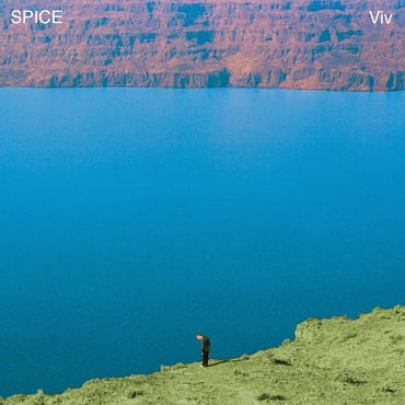 Spice  - Viv (NM or M-) (Vinyl LP)