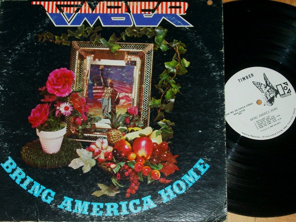 Timber  - Bring America Home (Vinyl, VG+) (Vinyl LP)