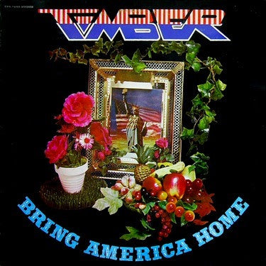 Timber  - Bring America Home (Vinyl, VG+) (Vinyl LP)