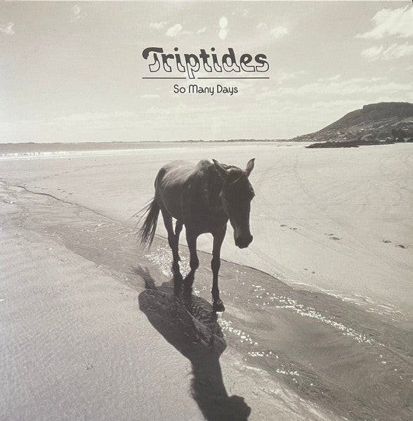 Triptides - So Many Days (NM or M-) (Vinyl LP)