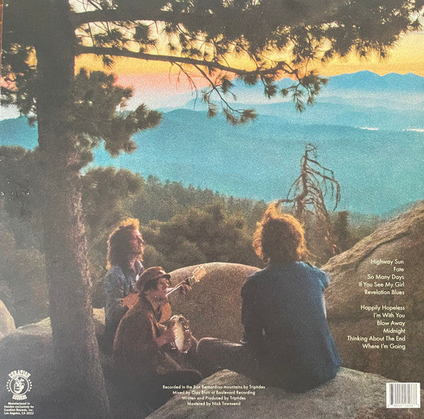 Triptides - So Many Days (NM or M-) (Vinyl LP)