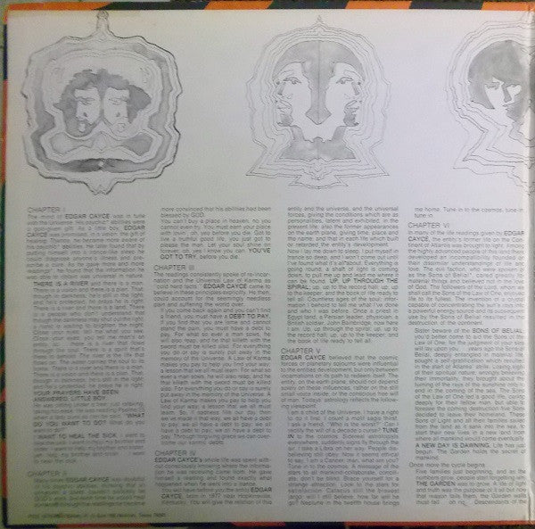 Poe - Up Through The Spiral (VG) (Vinyl LP)
