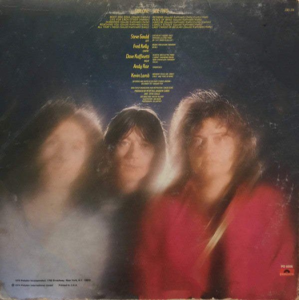 Rare Bird - Born Again (VG+) (Vinyl LP)