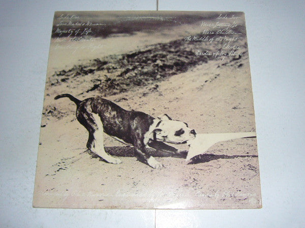 Snow, Phoebe - Never Letting Go (VG) (Vinyl LP)