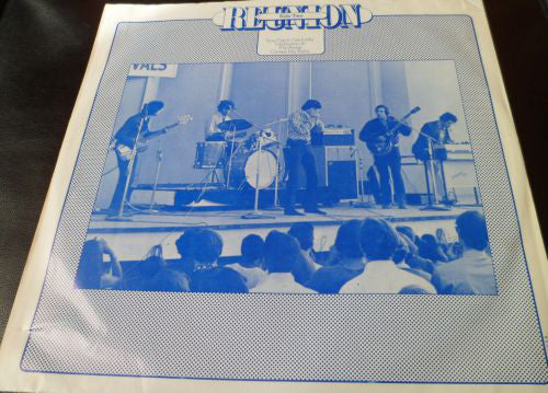 Original Blues Project - Reunion In Central Park (VG) (Vinyl LP)