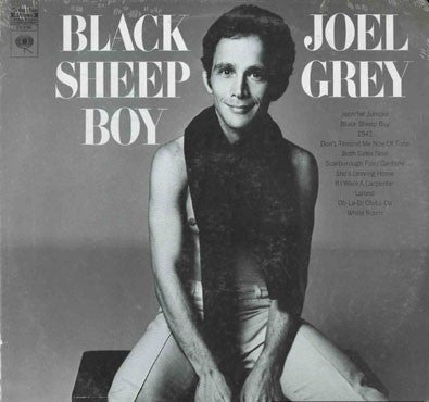 Grey, Joel - Black Sheep Boy (VG+) (Vinyl LP)