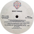 Mikey Dread - The Source (Of Your Divorce) (NM or M-) (Vinyl LP)