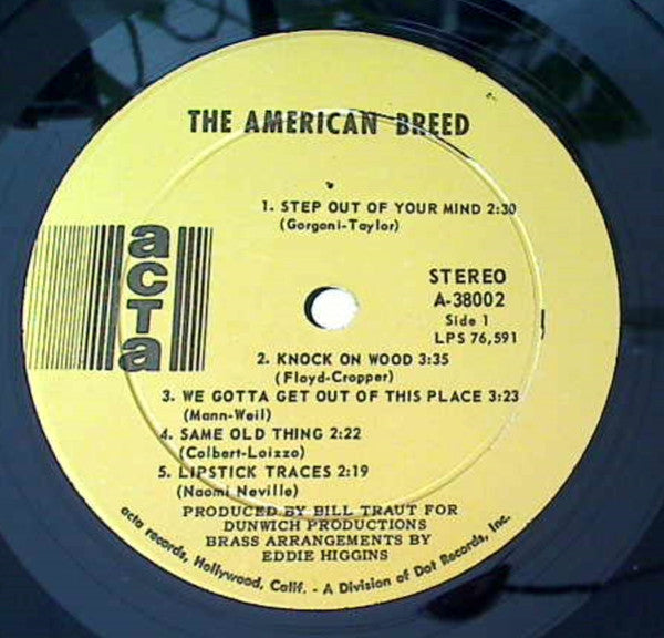 American Breed - The American Breed (VG+) (Vinyl LP)