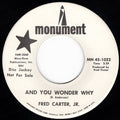 Carter Jr., Fred - And You Wonder Why / It's A Rough Old Road (G+) (Vinyl LP)