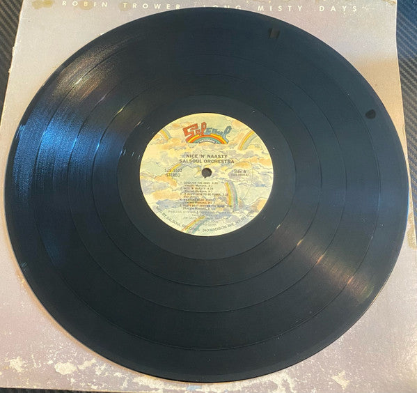 Trower, Robin - Long Misty Days (VG) (Vinyl LP)