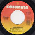 Shenandoah - Next To You, Next To Me (VG) (Vinyl LP)