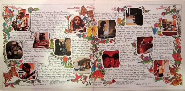 Potliquor - Levee Blues (VG) (Vinyl LP)