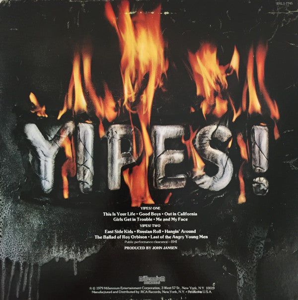 Yipes! - Yipes! (VG+) (Vinyl LP)