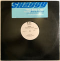 Shaggy Featuring Brian & Tony Gold - Hey Sexy Lady (VG+) (Vinyl LP)