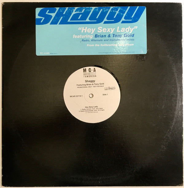 Shaggy Featuring Brian & Tony Gold - Hey Sexy Lady (VG+) (Vinyl LP)