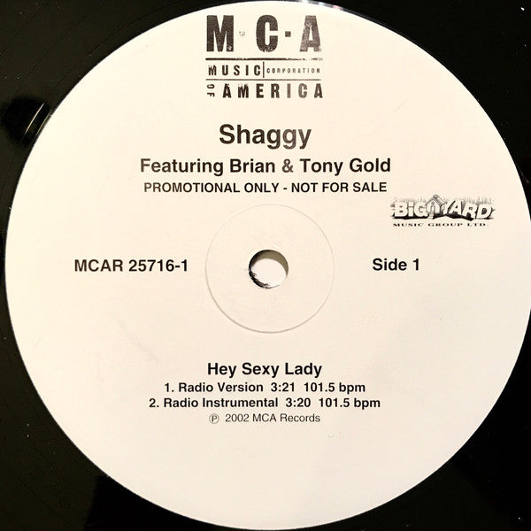Shaggy Featuring Brian & Tony Gold - Hey Sexy Lady (VG+) (Vinyl LP)