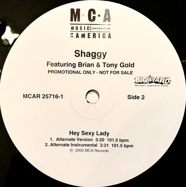Shaggy Featuring Brian & Tony Gold - Hey Sexy Lady (VG+) (Vinyl LP)