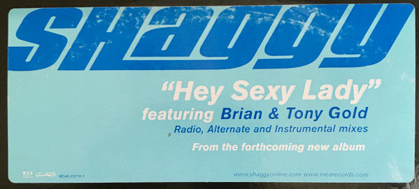 Shaggy Featuring Brian & Tony Gold - Hey Sexy Lady (VG+) (Vinyl LP)