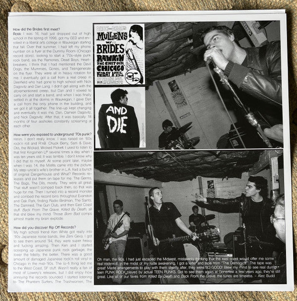 Brides  - Suburban Vermin (M) (Vinyl LP)