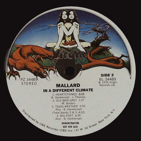 Mallard - In A Different Climate (VG+) (Vinyl LP)