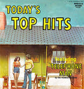 Homesteaders  - Today's Top Hits Featuring Telephone Man (Vinyl, VG+) (Vinyl LP)
