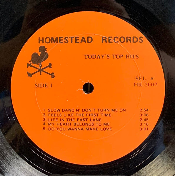 Homesteaders  - Today's Top Hits Featuring Telephone Man (Vinyl, VG+) (Vinyl LP)