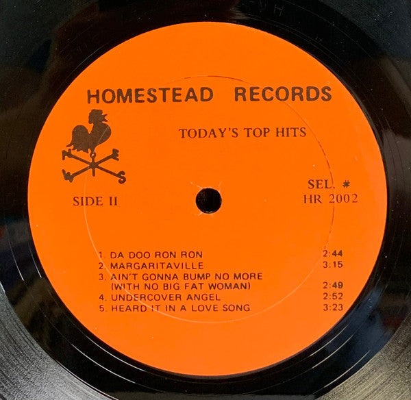 Homesteaders  - Today's Top Hits Featuring Telephone Man (Vinyl, VG+) (Vinyl LP)