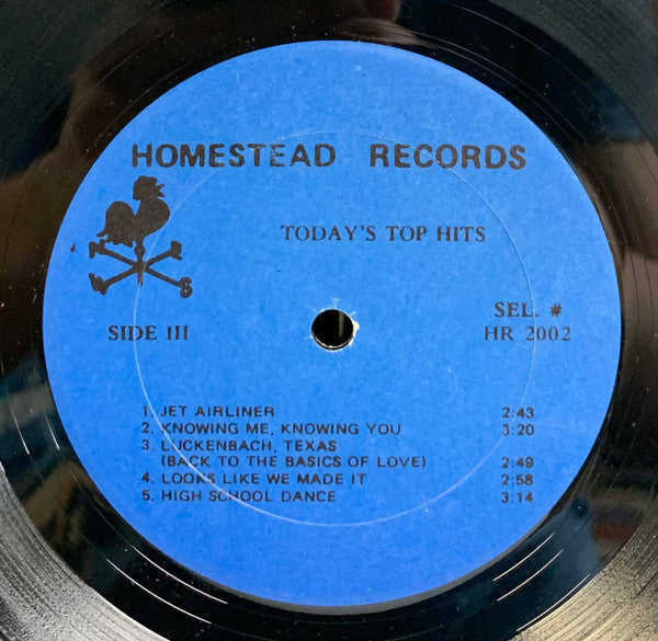 Homesteaders  - Today's Top Hits Featuring Telephone Man (Vinyl, VG+) (Vinyl LP)